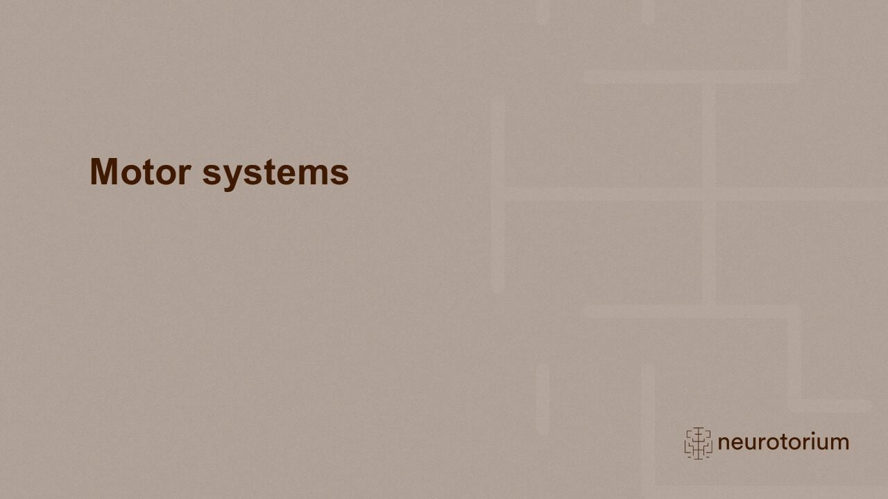 Slide introducing the motor systems chapter