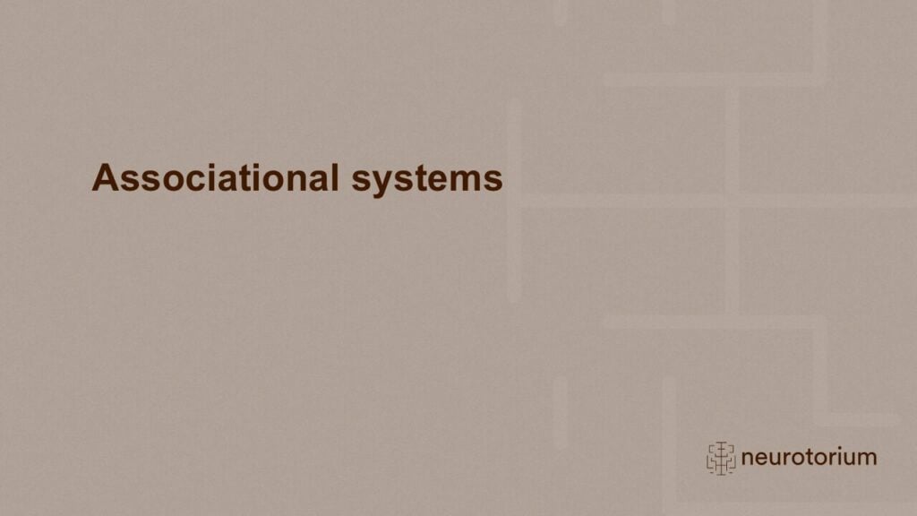 Slide introducing associational systems