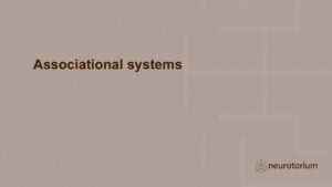 Slide introducing associational systems