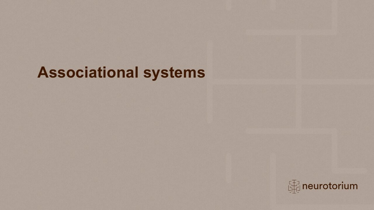 Slide introducing associational systems