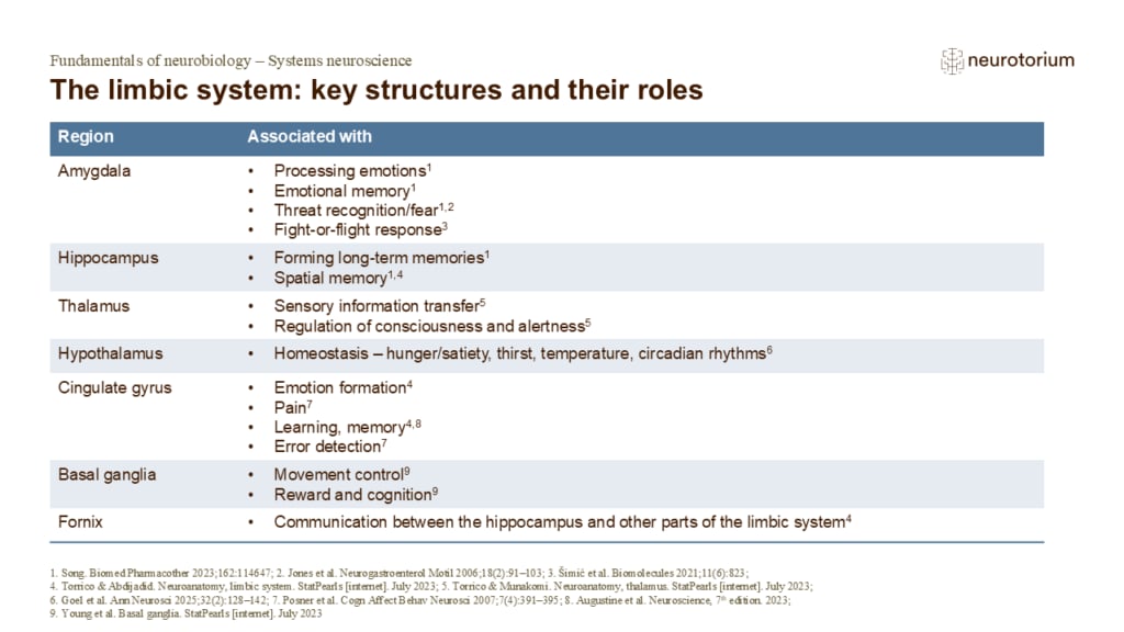 Table of limbic system structures and functions, including amygdala, hippocampus, thalamus, hypothalamus, and cingulate gyrus.
