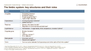 Table of limbic system structures and functions, including amygdala, hippocampus, thalamus, hypothalamus, and cingulate gyrus.