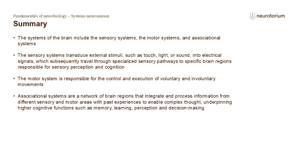Slide summarizing Fundamentals of Neuroscience - System Neuroscience