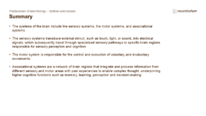 Slide summarizing Fundamentals of Neuroscience - System Neuroscience