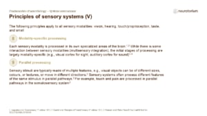 Image showing modality-specific and parallel sensory processing, with different brain areas handling distinct features simultaneously.