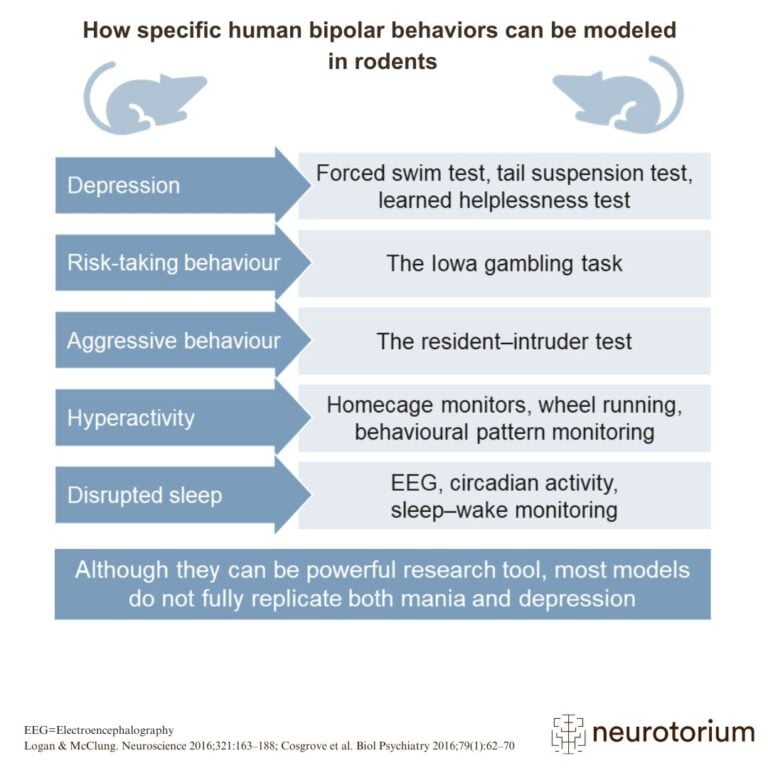 Many of the different symptoms and behaviours typical of bipolar disorder can be modelled in animal behaviour, such as in rodents.