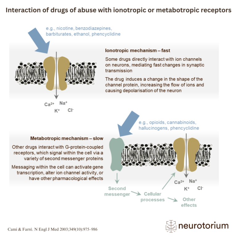Interaction of drugs of abuse with ionotropic or metabotropic receptors
