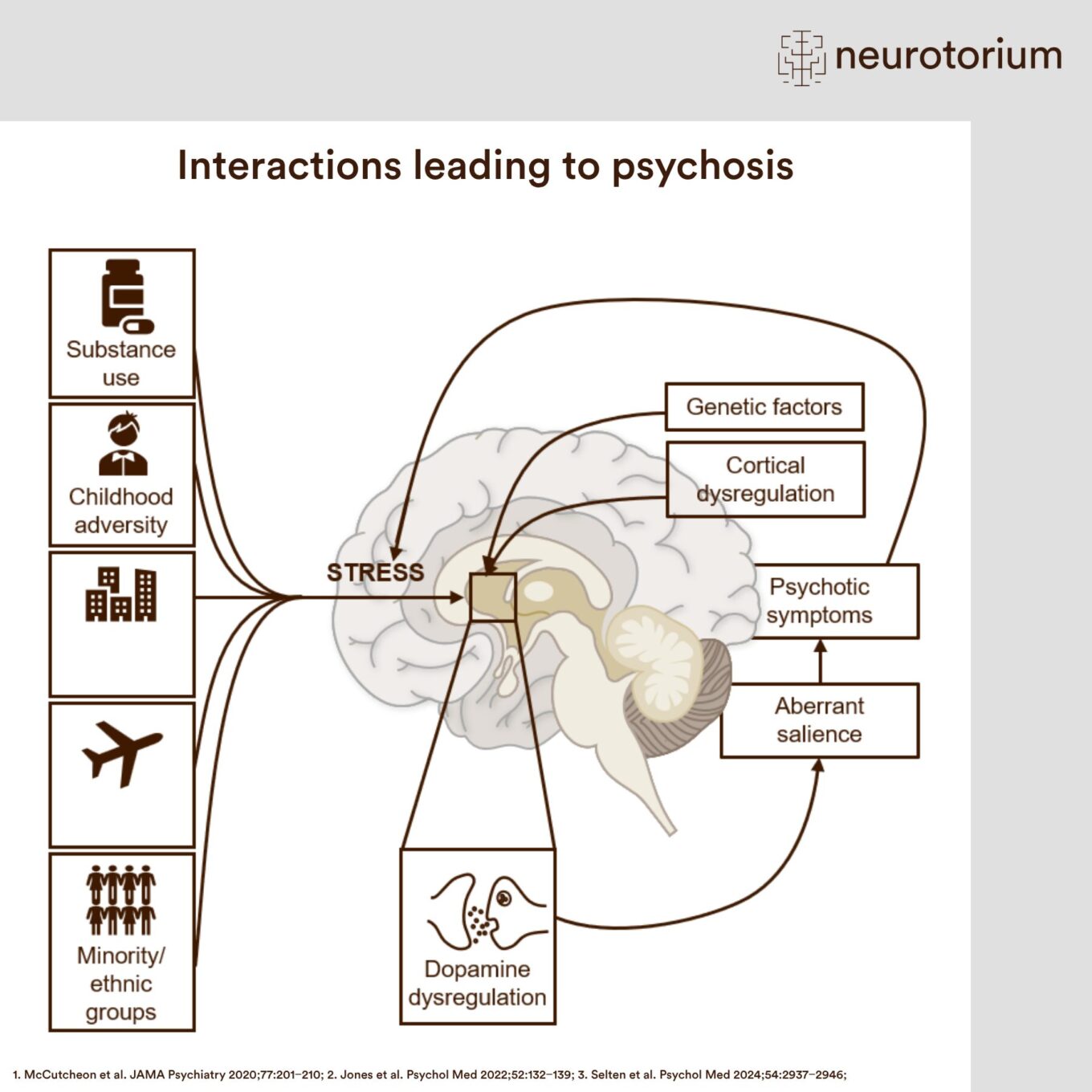 Diagram illustrating how genetic, environmental, and neurobiological factors interact through stress and dopamine dysregulation to contribute to psychosis