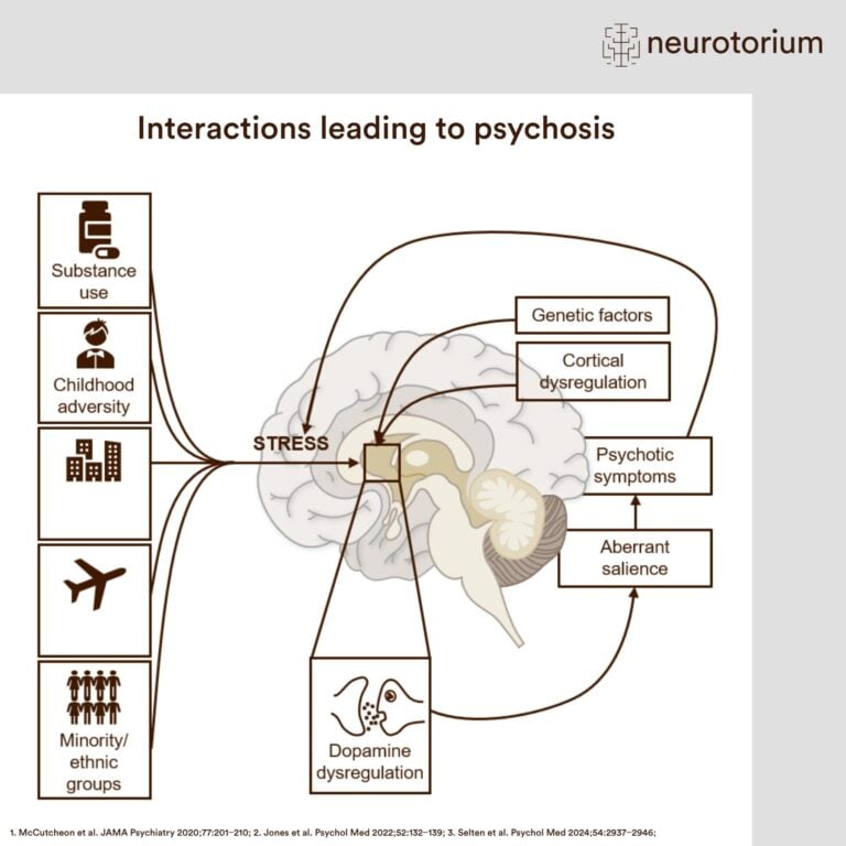 Diagram illustrating how genetic, environmental, and neurobiological factors interact through stress and dopamine dysregulation to contribute to psychosis