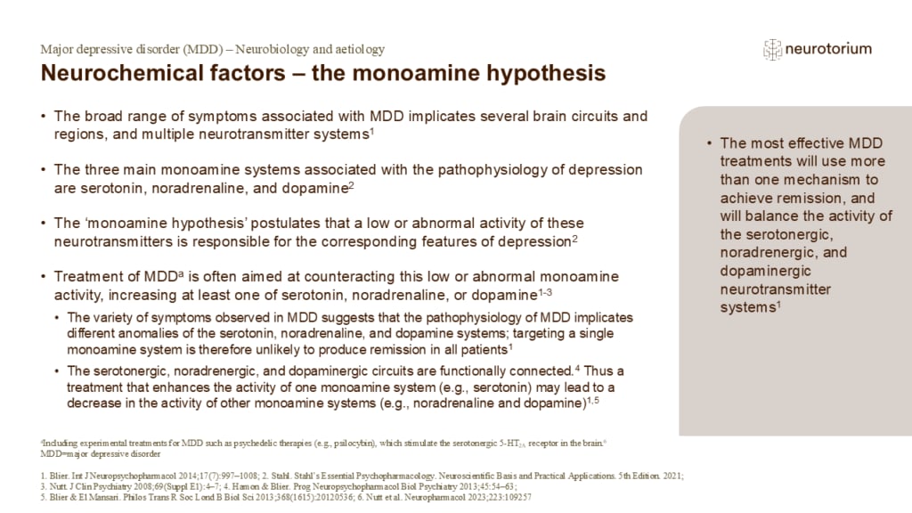 Neurochemical factors – the monoamine hypothesis