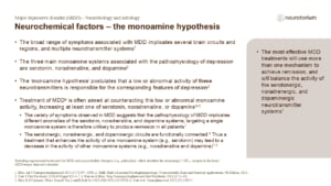 Neurochemical factors – the monoamine hypothesis