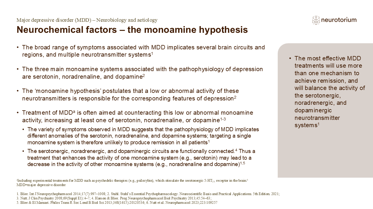 Neurochemical factors – the monoamine hypothesis