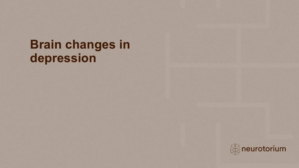 Brain changes in depression