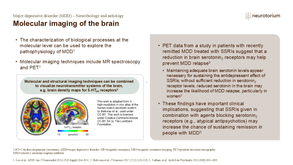 Molecular imaging of the brain
