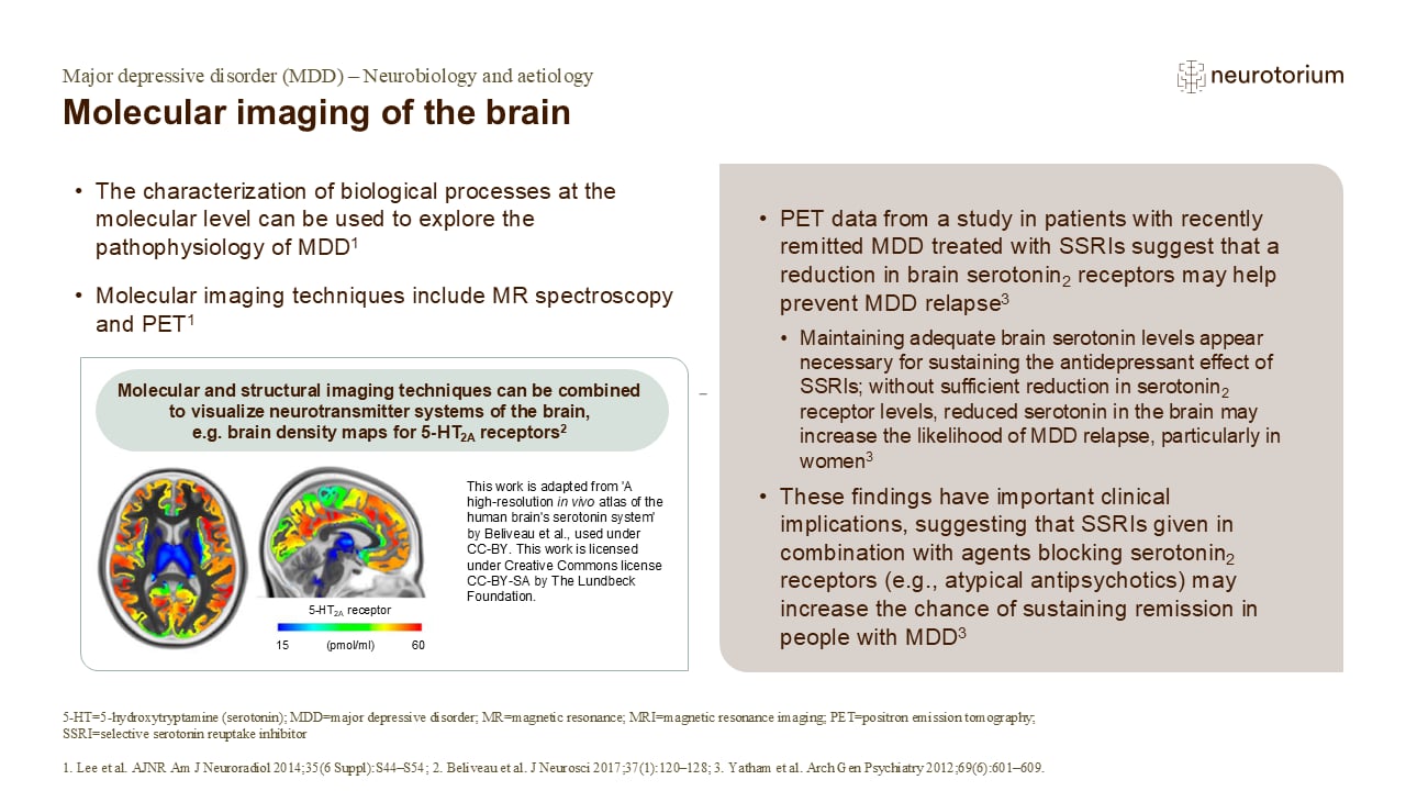 Molecular imaging of the brain