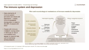 The immune system and depression