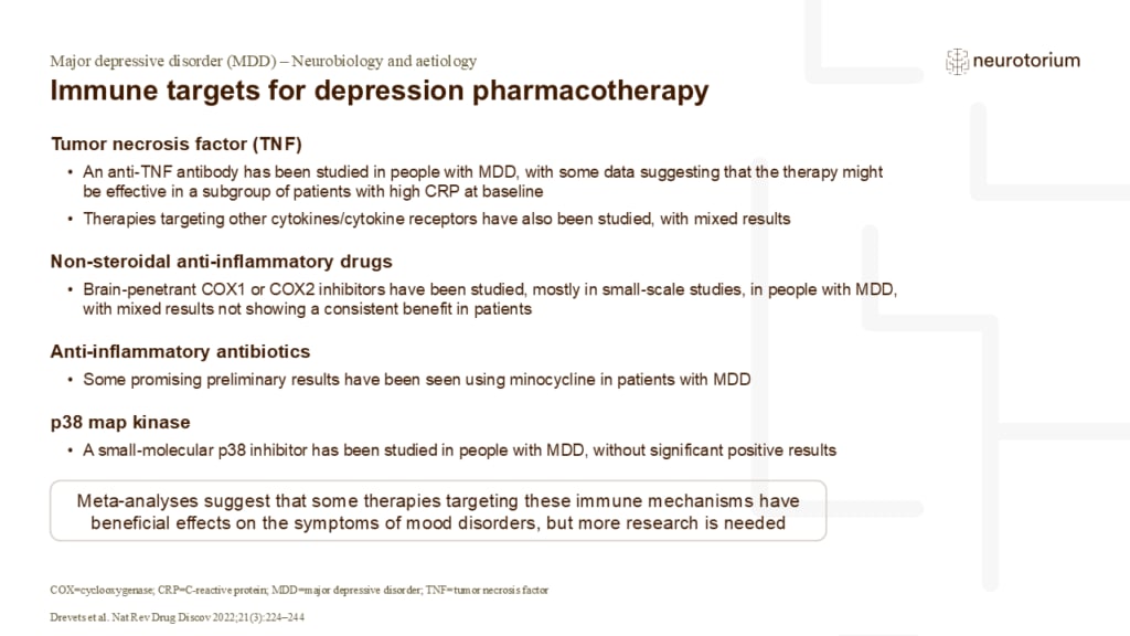 Immune targets for depression pharmacotherapy
