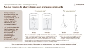 Animal models to study depression and antidepressants