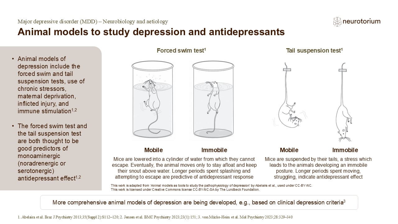 Animal models to study depression and antidepressants