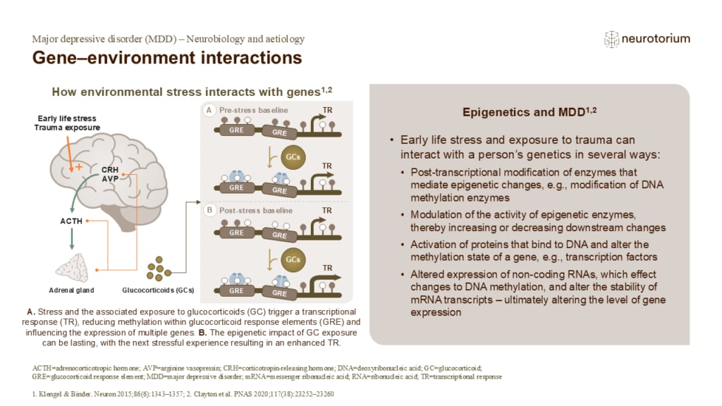 Gene–environment interactions