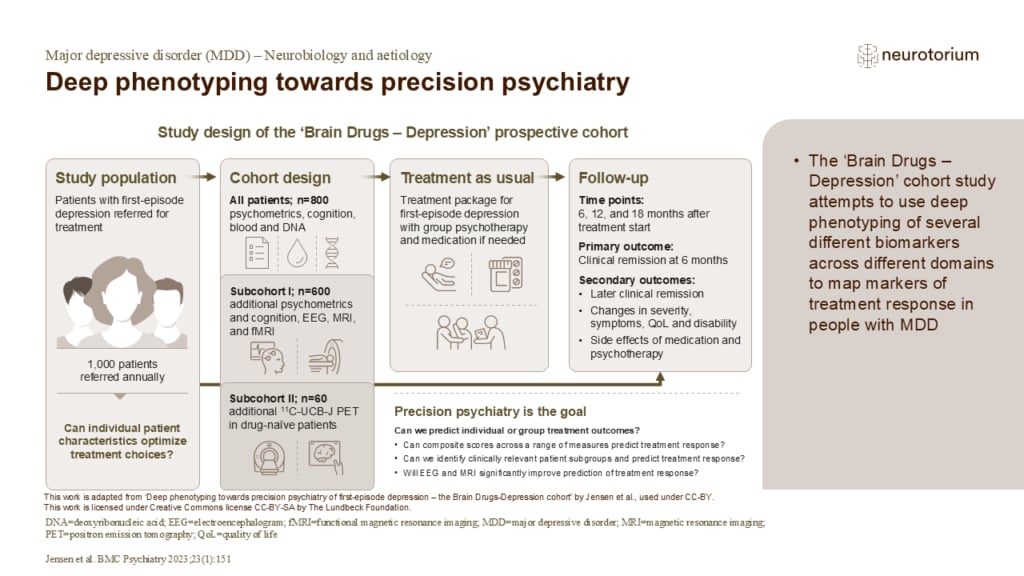 Deep phenotyping towards precision psychiatry