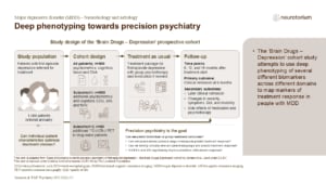 Deep phenotyping towards precision psychiatry