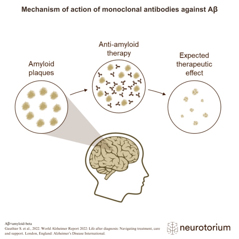 Mechanism of action of monoclonal antibodies against amyloid-Beta