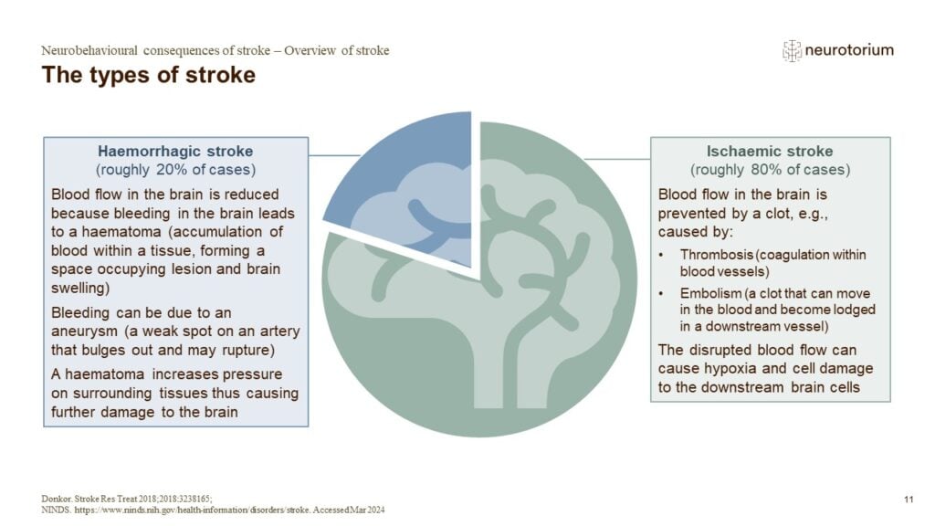 An overview of stroke, including facts on stroke types and risk factors, as well as solutions to reduce the global stroke burden.