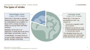 An overview of stroke, including facts on stroke types and risk factors, as well as solutions to reduce the global stroke burden.