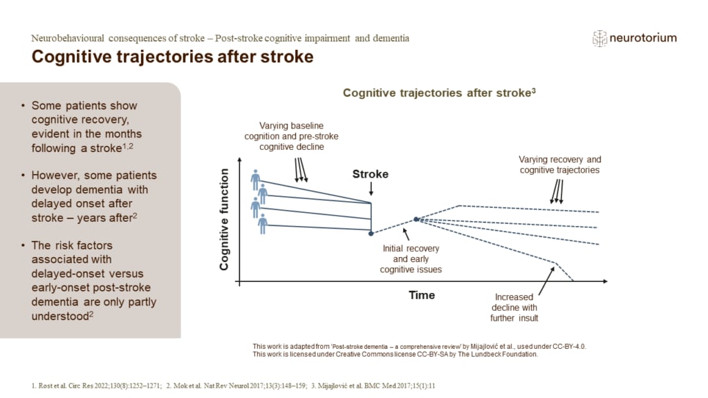 Some patients show cognitive recovery, evident in the months following a stroke. However, some patients develop dementia with delayed onset after stroke – years after.