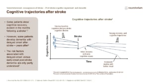 Some patients show cognitive recovery, evident in the months following a stroke. However, some patients develop dementia with delayed onset after stroke – years after.