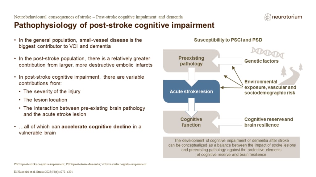 The development of cognitive impairment or dementia after stroke can be conceptualized as a balance between the impact of stroke lesions and preexisting pathology against the protective elements of cognitive reserve and brain resilience