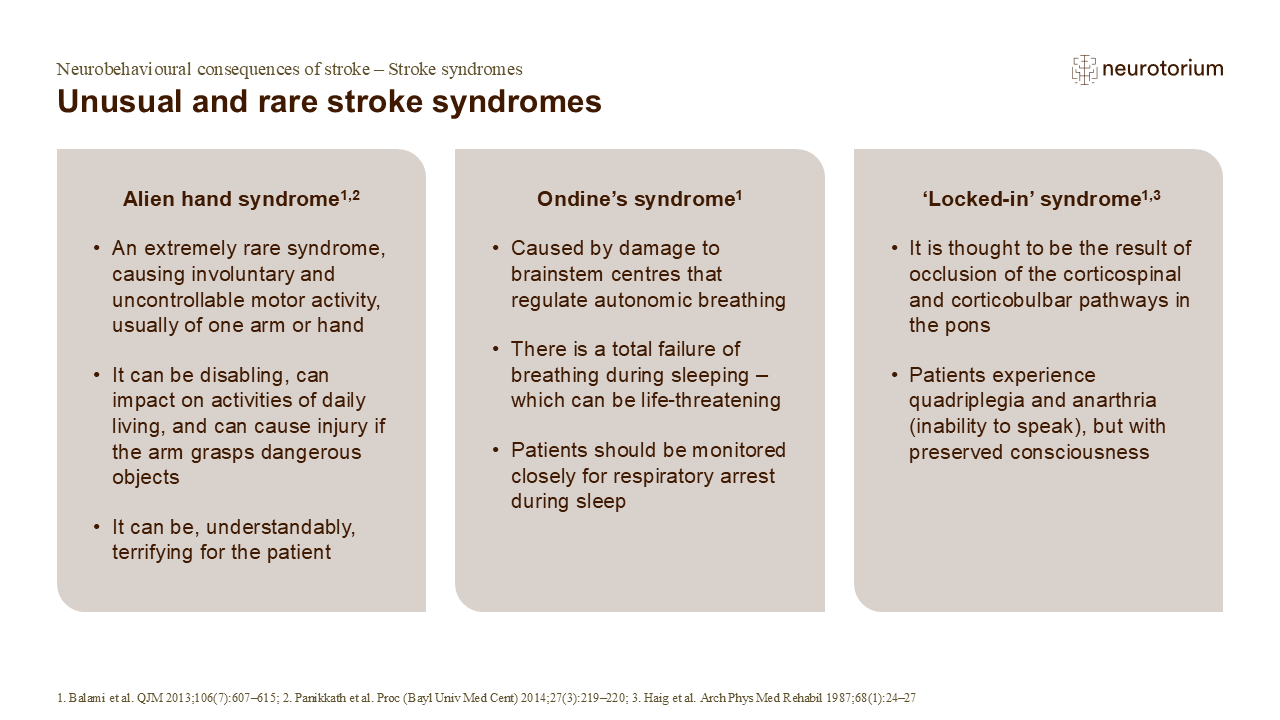Unusual and rare stroke syndromes
