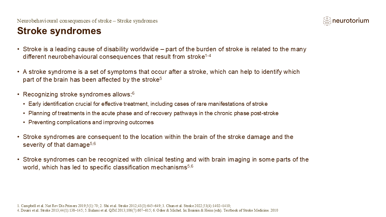 A stroke syndrome is a set of symptoms that occur after a stroke, which can help to identify which part of the brain has been affected by the stroke