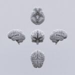 Cover image for article showing the brain in BW