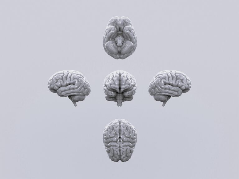 Cover image for article showing the brain in BW
