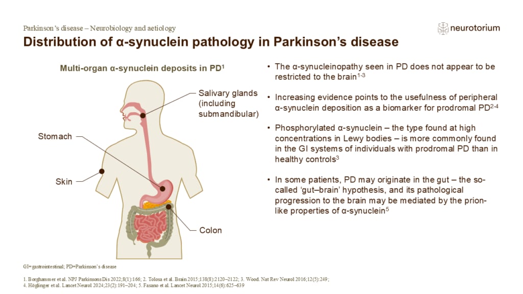 Distribution of α-synuclein pathology in Parkinson’s disease