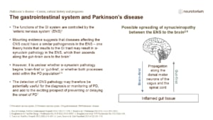 The gastrointestinal system and Parkinson’s disease