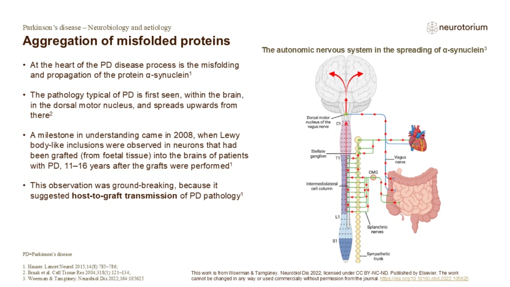 Aggregation of misfolded proteins
