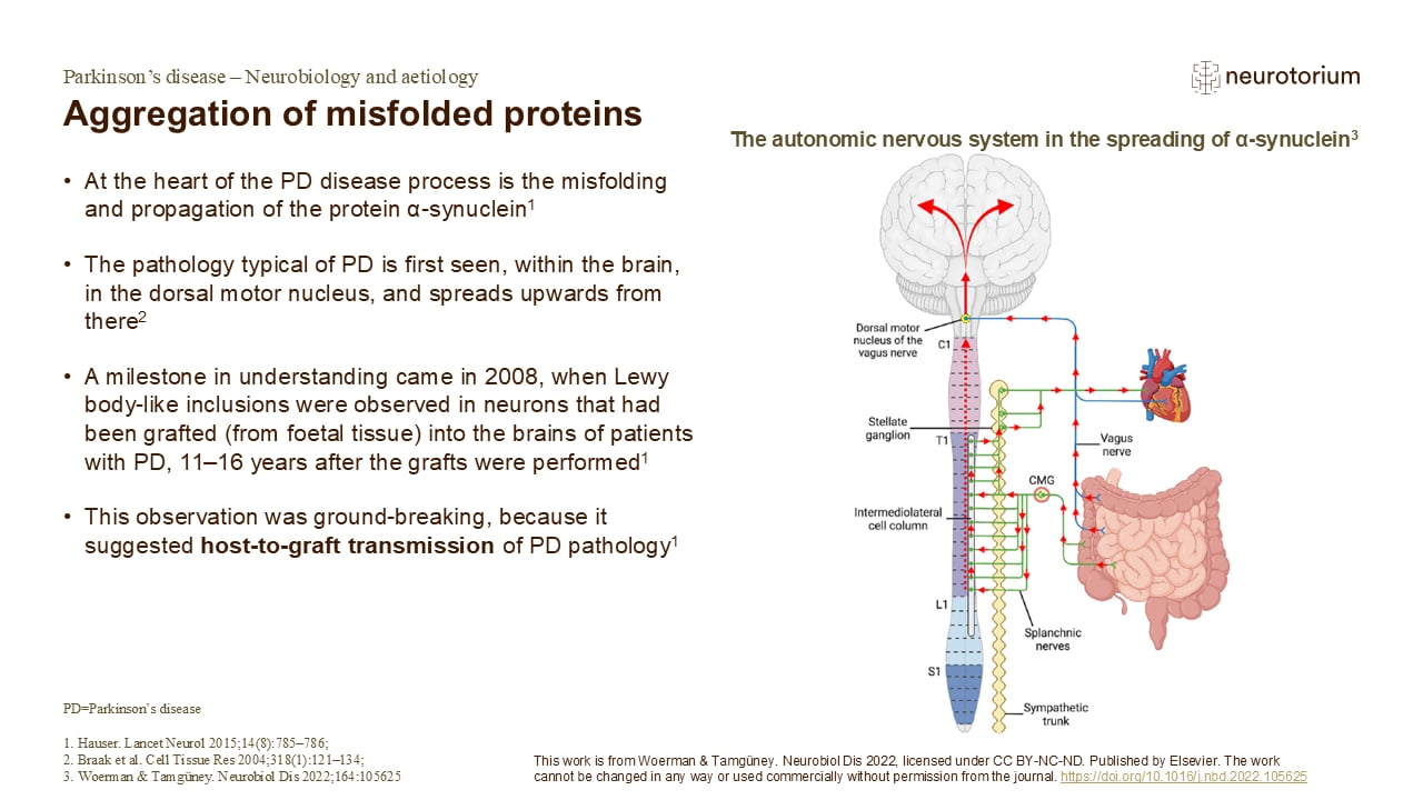 Aggregation of misfolded proteins