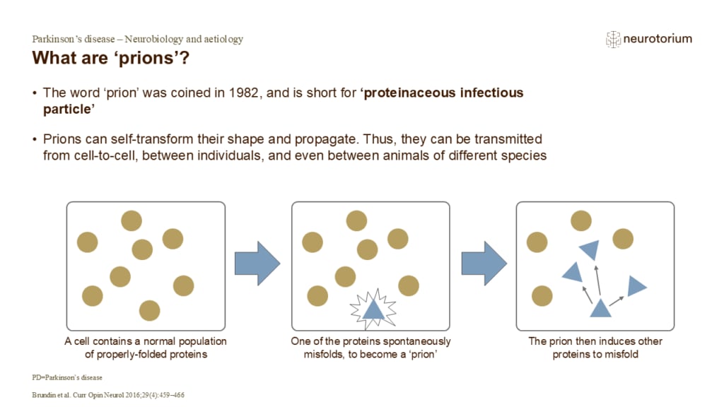 What are ‘prions’?
