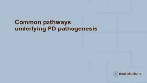Common pathways underlying PD pathogenesis