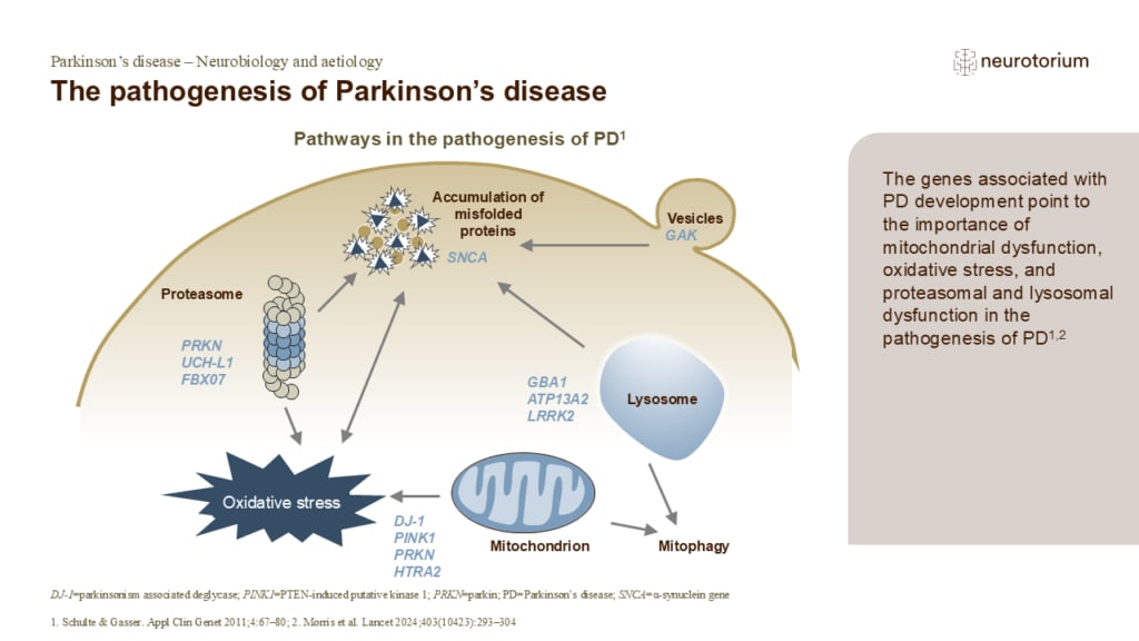 The pathogenesis of Parkinson’s disease