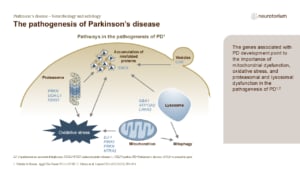 The pathogenesis of Parkinson’s disease