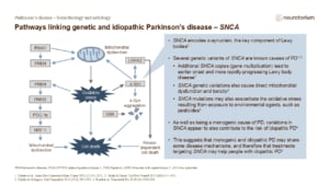 Pathways linking genetic and idiopathic Parkinson’s disease – SNCA