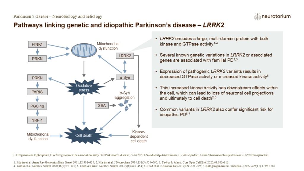 Pathways linking genetic and idiopathic Parkinson’s disease – LRRK2