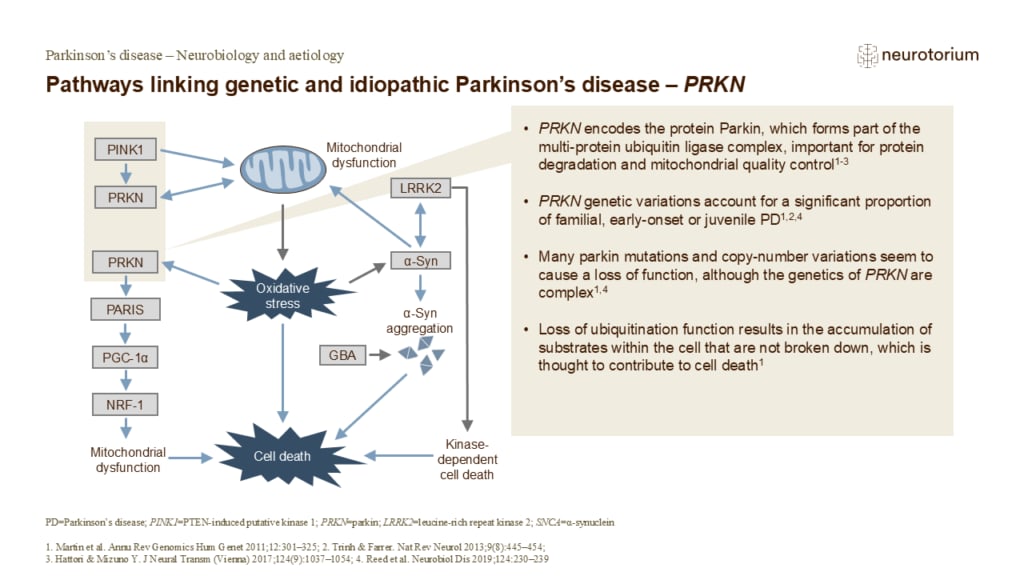 Pathways linking genetic and idiopathic Parkinson’s disease – PRKN