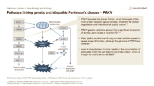 Pathways linking genetic and idiopathic Parkinson’s disease – PRKN