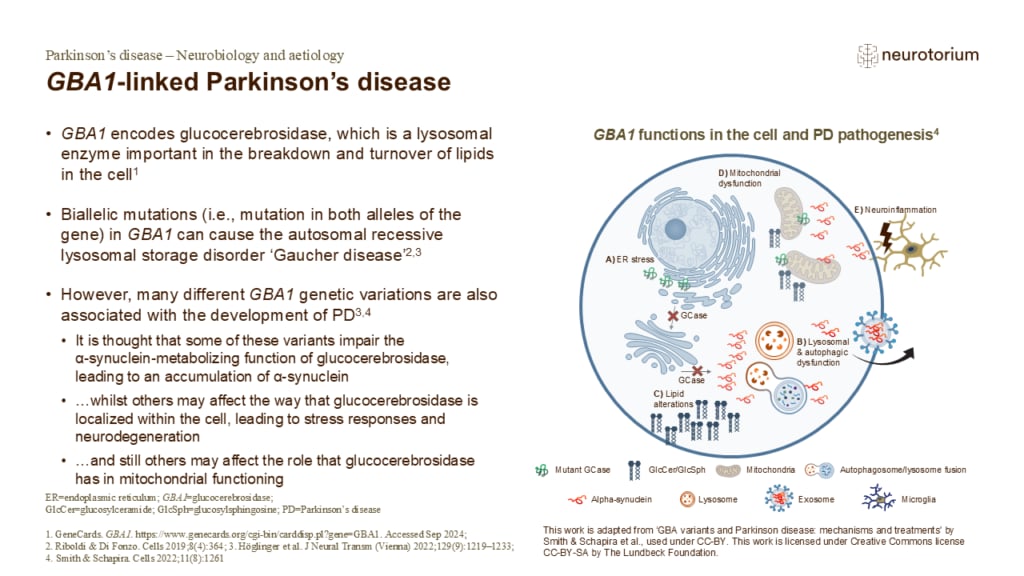 GBA1-linked Parkinson’s disease