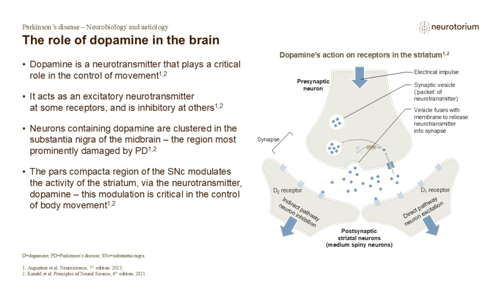 The role of dopamine in the brain